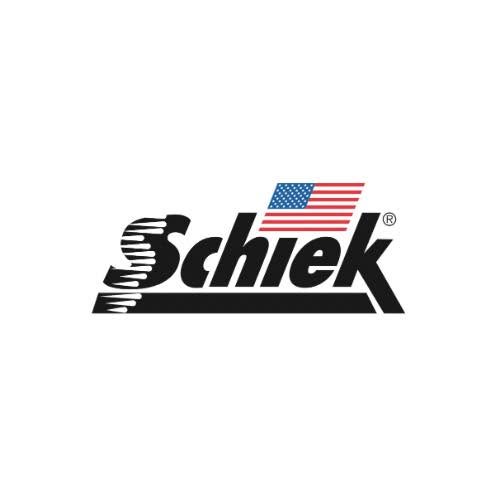 Schiek